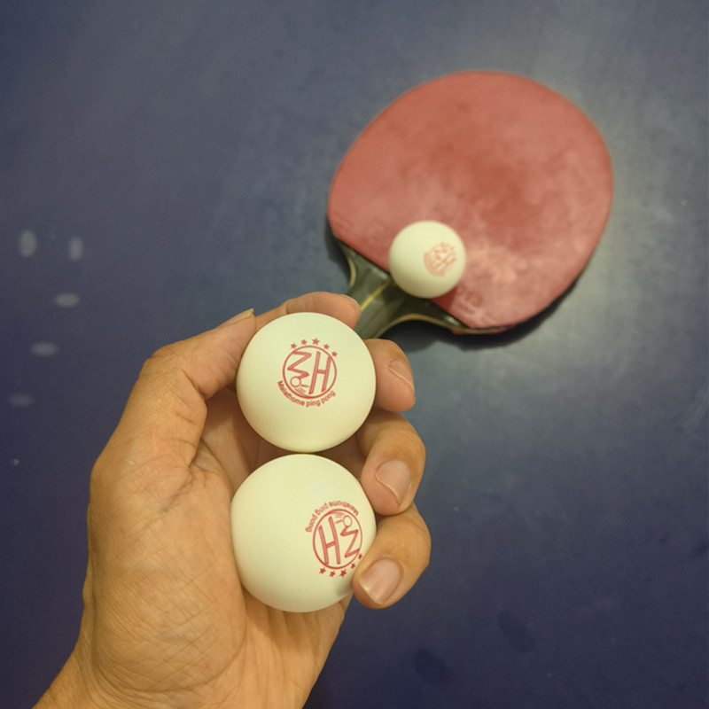 Malathorne Premium 5 Yıldızlı  - Table Tennis Video Game incelemesi ve fiyatı